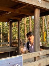 หัดเล่น